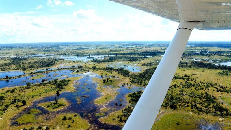 Safari au cœur du delta de l’Okavango au Botswana