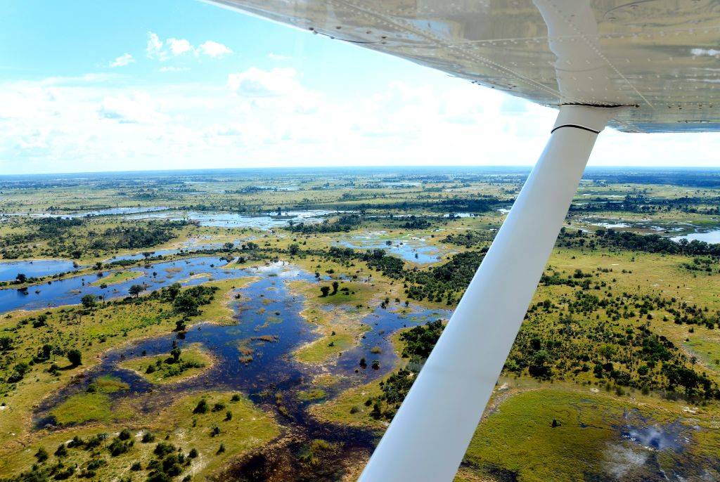 Safari au cœur du delta de l’Okavango au Botswana