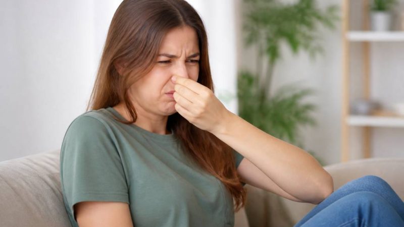 Bbl odeur : tout savoir sur les causes et les solutions efficaces